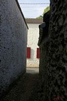 Cjp_2010_05_28_075406 (1).jpg